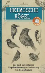 Heimische vögel: Das Buch zur einfachen Vogelbestimmung und Erkennung von Vogelstimmen - Der kleine praktische Feldführer