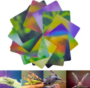 Guage-Hintergrundkarten-Set für Makrofotografie, 12Pc, 24 Farben(21 * 15CM), lic