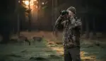 Dämmerungsferngläser für die Jagd